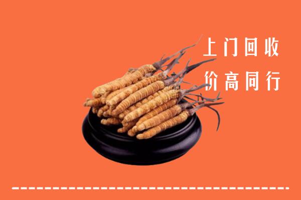 高价求购：宁乡市回收散虫草