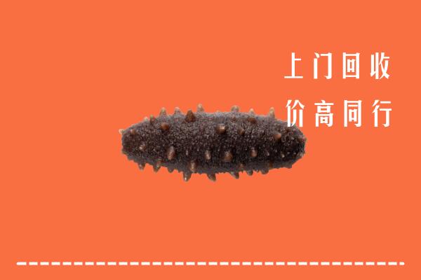 宁乡市回收海参